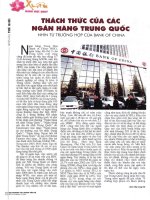 Thách thức của các ngân hàng trung quốc nhìn từ trường hợp của bank of china 