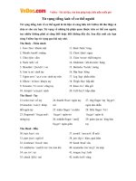 Từ vựng tiếng Anh về cơ thể người