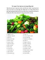 Từ vựng về các loại rau củ trong tiếng Anh