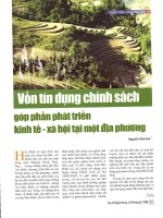 Vốn tín dụng chính sách góp phần phát triển kinh tế   xã hội tại một địa phương 