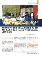 Ứng dụng công cụ phái sinh tiền tệ trong phòng ngừa rủi ro tỷ giá tại các ngân hàng thương mại việt nam 