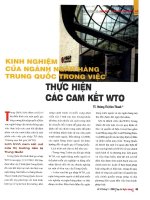Kinh nghiệm của ngành ngân hàng trung quốc trong việc thực hiện các cam kết WTO 
