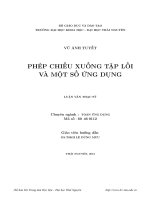 Phép chiếu xuống tập lồi và một số ứng dụng 