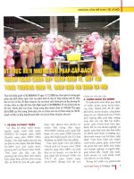 Về thực hiện những giải pháp cấp bách nhằm ngăn chặn suy giảm kinh tế, duy trì tăng trưởng kinh tế, đảm bảo an sinh xã hội 