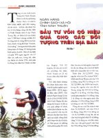 Ngân hàng chính sách xã hội tỉnh ninh thuận đầu tư vốn có hiệu quả cho các đối tượng trên địa bàn 