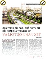 Quá trình cải cách chế độ tỷ giá hối đoái của trung quốc và một số nhận xét 