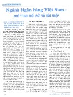 Ngành ngân hàng việt nam quá trình đổi mới và hội nhập 