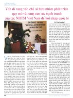 Vấn đề vốn chủ sở hữu nhằm phát triển quy mô và nâng cao sức cạnh tranh của các NHTM việt nam để hội nhập quốc tế 