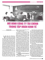 Mô hình công ty tài chính trong tập đoàn kinh tế 