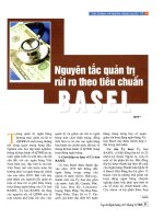 Nguyên tắc quản trị rủi ro theo tiêu chuẩn BASEL 
