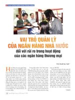 Vai trò quản lý của ngân hàng nhà nước đối với rủi ro trong hoạt động của các ngân hàng thương mại 