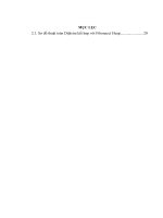 CHUYÊN đề ỨNG DỤNG  FIBONACCI HEAP 