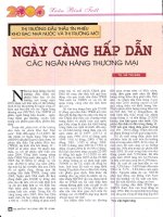 Thị trường đấu thầu tín phiếu kho bạc nhà nước và thị trường mở ngày càng hấp dẫn các NHTM 