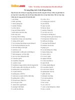 Từ vựng tiếng Anh về chủ đề giao thông