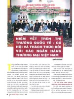Niêm yết trên thị trường quốc tế   cơ hội và thách thức đối với các ngân hàng việt nam 
