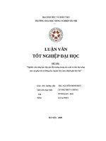 Nghiên cứu năng lực tiếp cận thị trường trong sản xuất và tiêu thụ nông sản của phụ nữ xã đông dư, huyện gia lâm, thành phố hà nội 