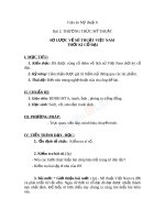 Giáo án mỹ thuật 6 bài sơ lược về việt nam thời kì cổ đại 