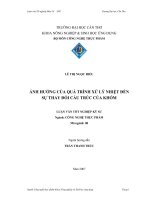 ảnh hưởng của quá trình xử lý nhiệt đến sự thay đổi cấu trúc của khóm