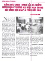 Năng lực cạnh tranh của hệ thống NHTMVN trong bối cảnh hội nhập  toàn cầu hóa 