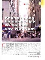 Khủng hoảng tín dụng ở mỹ và bài học cho việt nam 