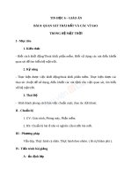 Giáo án tin học 6 bài quan sát trái đất và các vì sao hệ mặt trời (2) 