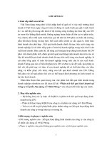 Phân tích kết quả kinh doanh tại công ty cổ phần xây dựng số 9 hải phòng