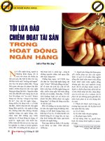 Tội lừa đảo chiếm đoạt tài sản trong hoạt động ngân hàng 