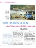 Thị trường chứng khoán việt nam năm 2006 và vai trò của các ngân hàng thương mại 