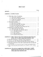 ứng dụng marketing nhằm phát triển kinh doanh tấm 3d tsg của tổng đội tnxp trường sơn tại việt nam