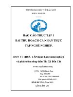 BÁO cáo THỰC tập 1 bài THU HOẠCH cá NHÂN THỰC tập NGHỀ NGHIỆP tại  ngân hàng nông nghiệp và phát triển nông thôn thị xã bến cát
