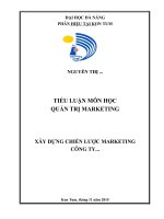 tiểu luận quản trị marketing đề tài xây DỰNG CHIẾN lược MARKETING công ty toyota motor corporation