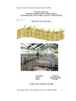 H1N1 và những ảnh hưởng đến môi trường 