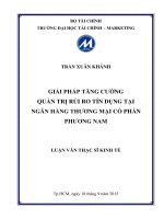 giải pháp tăng cường quản trị rủi ro tín dụng tại ngân hàng thương mại cổ phần phương nam 