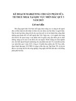 KẾ HOẠCH MARKETING CHO sản PHẨM sữa TH TRUE MILK tại KHU vực MIỀN bắc QUÝ 3 năm 2015