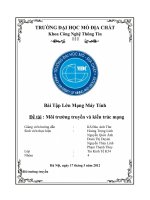 Bài Tập Lớn Mạng Máy Tính Đề tài Môi trường truyền và kiến trúc mạng