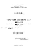 Thác triển chỉnh hình kiểu riemann 