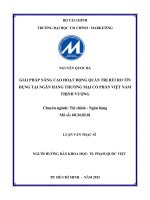 giải pháp nâng cao hoạt động quản trị rủi ro tín dụng tại ngân hàng thương mại cổ phần việt nam thịnh vượng 