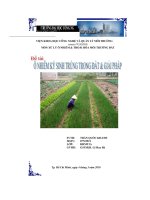 Ô nhiễm ký sinh trùng trong đất và giải pháp 