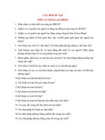 Câu hỏi ôn tập an toàn lao động