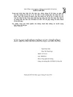 Xây dựng mô hình chống sạt lỡ bờ sông 