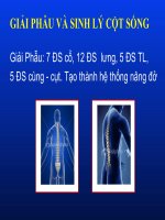 GIẢI PHẪU và SINH lý cột SỐNG 