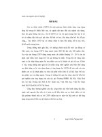 Biến tính cao su thiên nhiên và polyme blend trên cơ sở cao su thiên nhiên bằng dầu đậu nành 