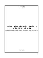 Hướng dẫn chẩn đoán và điều trị bệnh Mắt