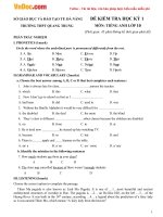Đề thi học kì 1 môn Tiếng Anh lớp 10 trường THPT Quang Trung, Đà Nẵng