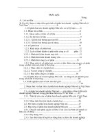 Cơ sở lí luận và thực tiễn quá trình cổ phần hoá doanh nghiệp nhà nước ở Việt Nam