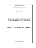 Nghiên cứu ảnh hưởng của phân nén và mật độ đến sinh trưởng, phát triển của giống ngô CP989 tại thành phố lai châu, tỉnh lai châu 