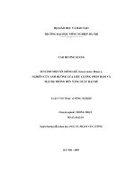 So sánh một số giống kê (setaria italica beauv ), nghiên cứu ảnh hưởng của liều lượng phân đạm và mật độ trồng đến năng suất hạt kê 