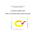 XÂY DỰNG CHIẾN LƯỢC CÔNG TY CỔ PHẦN THUẬN THẢO NĂM 2013