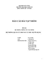 HỆ THỐNG THÔNG TIN TÀI CHÍNH HỆ THỐNG QUẢN LÝ CHO VAY VÀ THU NỢ TÍN DỤNG