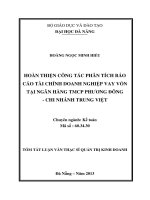 HOÀN THIỆN CÔNG TÁC PHÂN TÍCH BÁO CÁO TÀI CHÍNH DOANH NGHIỆP VAY VỐN TẠI NGÂN HÀNG TMCP PHƯƠNG ĐÔNG  CHI NHÁNH TRUNG VIỆT